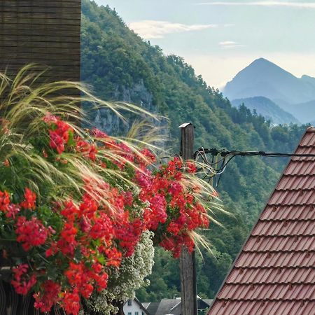 Apartma Bela Bohinjska Bela Εξωτερικό φωτογραφία